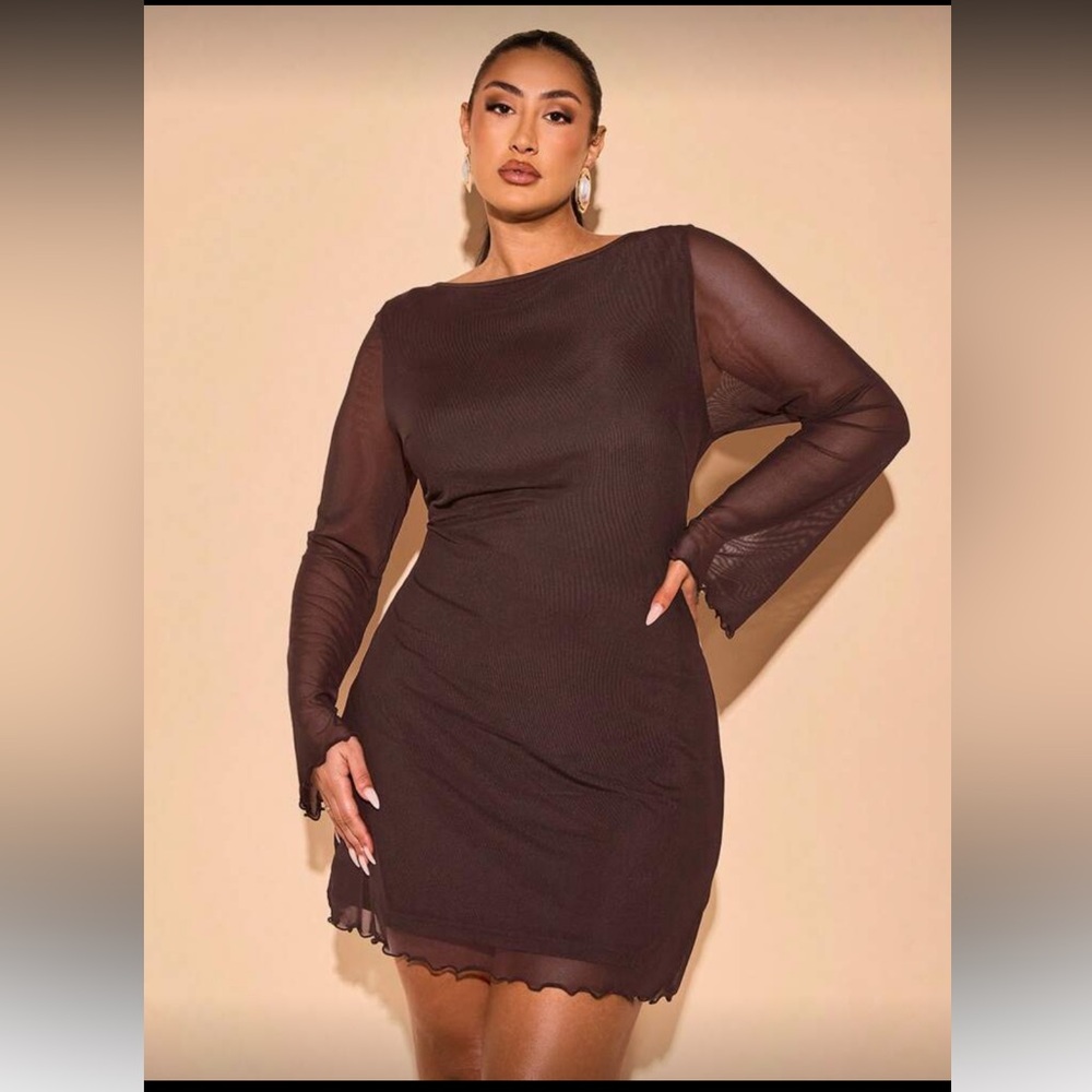 SHEIN Brown Long Sleeve Dress with Sheer Detail